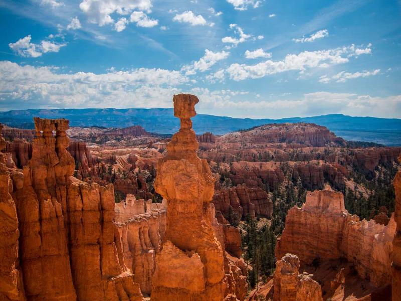 sudoku diagonal variant screenshot 5