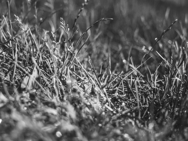 sudoku diagonal variant screenshot 3